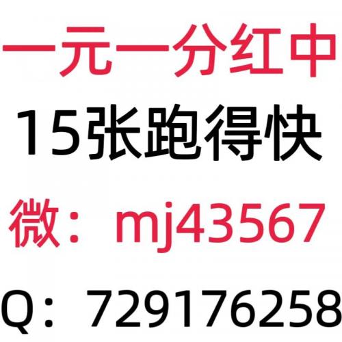 正规一元一分红中麻将跑得快群